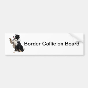 Autocollant De Voiture border collie