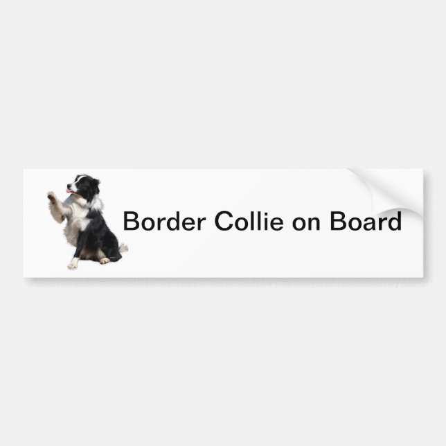 Autocollant De Voiture border collie (Devant)