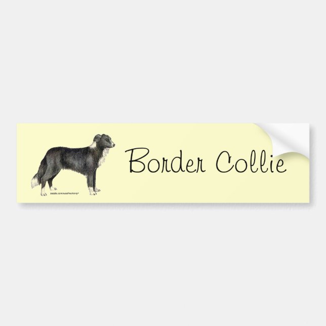 Autocollant De Voiture Border collie (Devant)