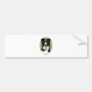Autocollant De Voiture Border collie 9Y411D-009
