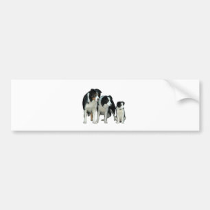 Autocollant De Voiture Border Collie Dogs