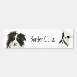 Autocollant De Voiture Bordure Collie Chien o