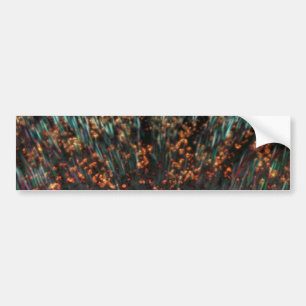 Autocollant De Voiture Borealis de cuivre