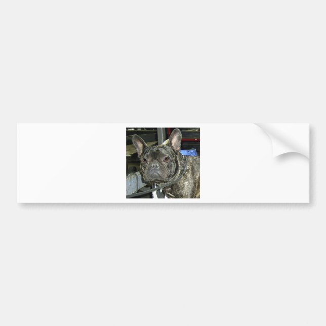 Autocollant De Voiture bouledogue français brindle (Devant)