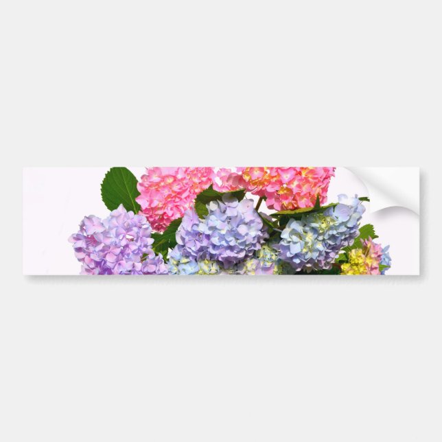 Autocollant De Voiture Bouquet Hydrangea (Devant)