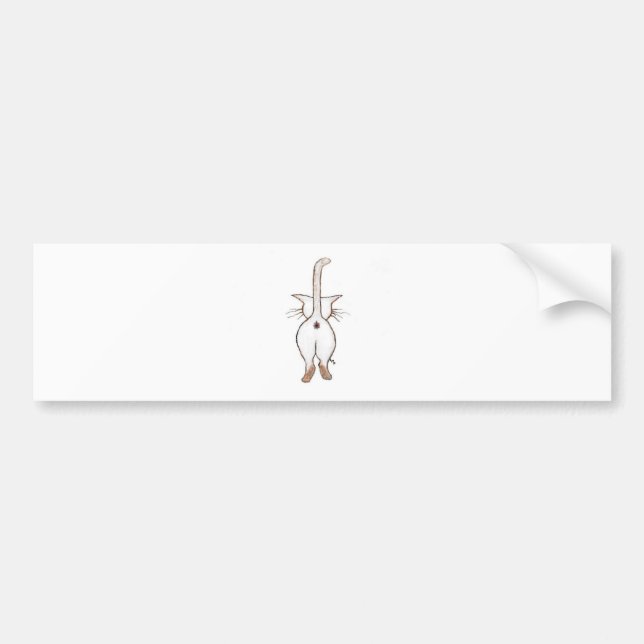 AUTOCOLLANT DE VOITURE BOUT CE QUI ? (Devant)