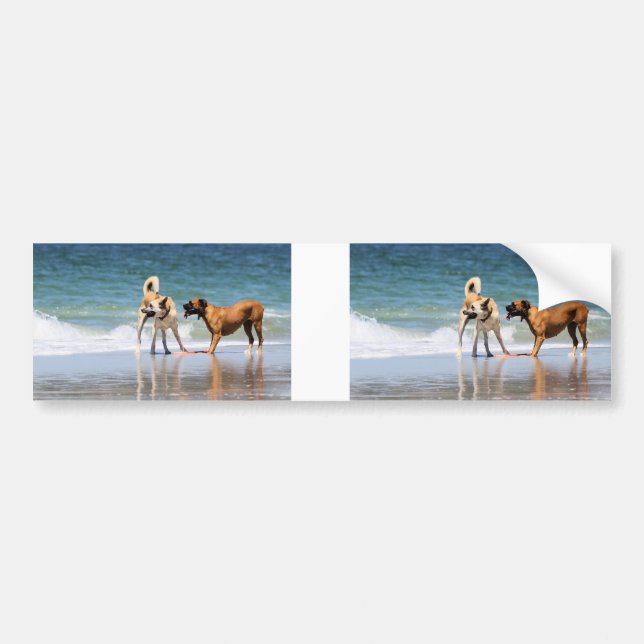 Autocollant De Voiture Boxeur et copain - était-il qu'un dauphin ? (Devant)