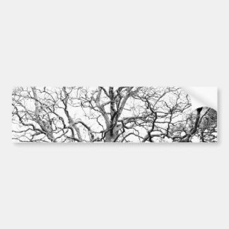 Autocollant De Voiture Branches d'arbre