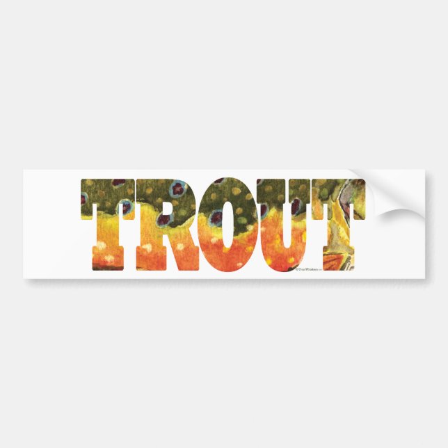 Autocollant De Voiture Brook Trout Art (Devant)
