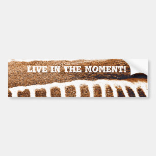 Autocollant De Voiture Brown Stripes_