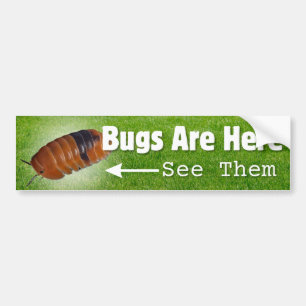 Autocollant De Voiture Bugs Are Here...Isopod Edition Bumper Sticker