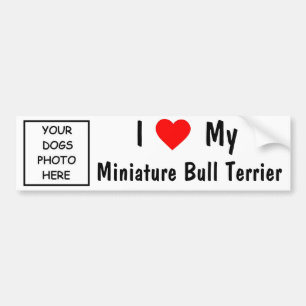 Autocollant De Voiture Bull-terrier miniature