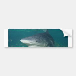 Autocollant De Voiture Bullshark