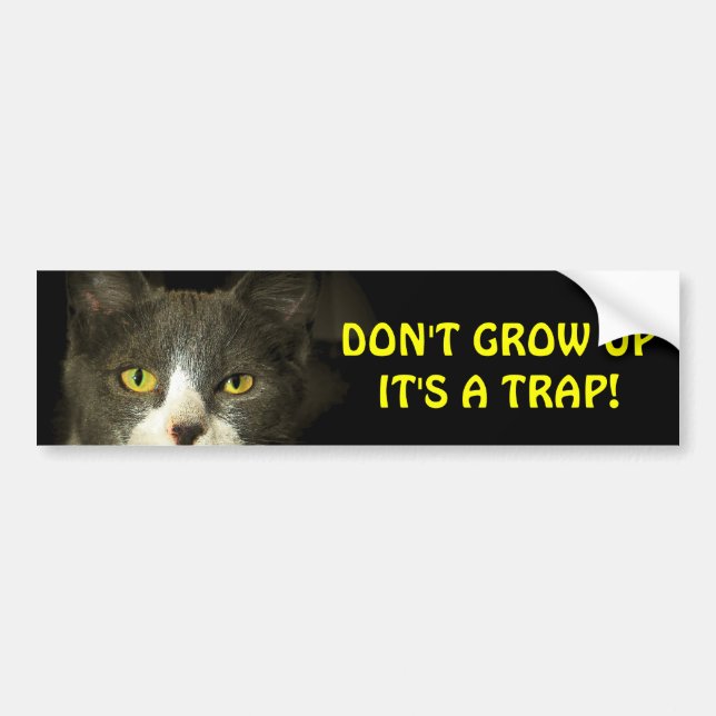 Autocollant De Voiture Bumper Cat dit ne pas augmenter mème (Devant)