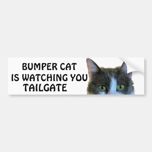 Autocollant De Voiture Bumper Cat regarde Meme TAILGATE 28 (Devant)