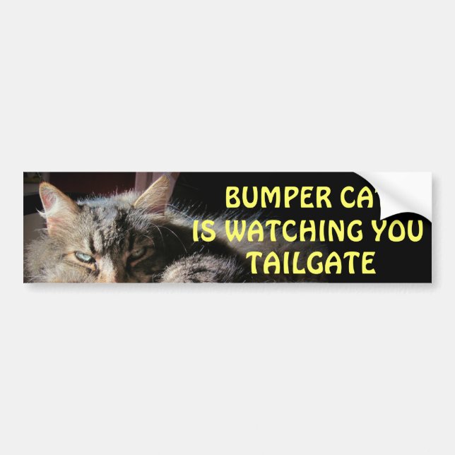 Autocollant De Voiture Bumper Cat regarde TAILGATE 15 (Devant)