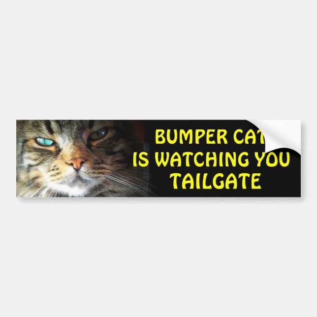Autocollant De Voiture Bumper Cat regarde TAILGATE 2.5 (Devant)