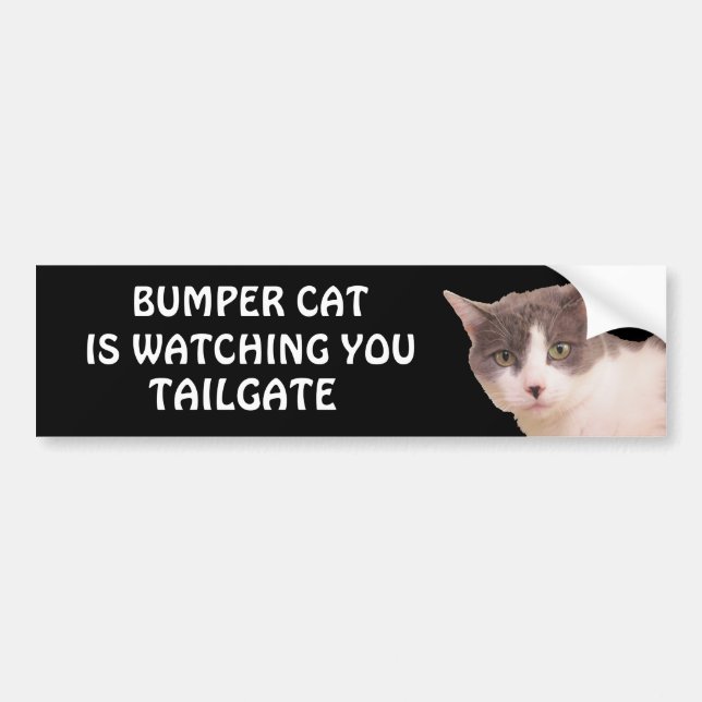 Autocollant De Voiture Bumper Cat regarde TAILGATE 33 (Devant)