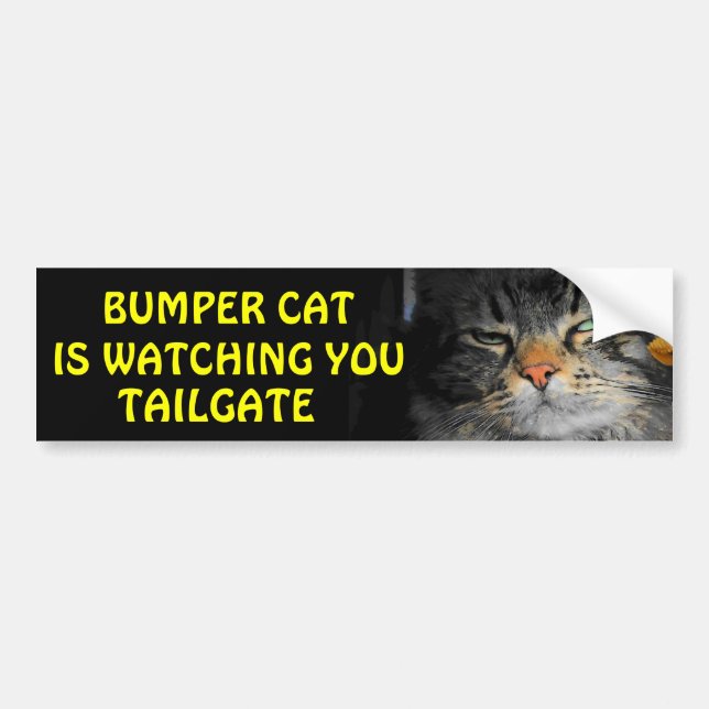 Autocollant De Voiture Bumper Cat regarde TAILGATE 34 (Devant)