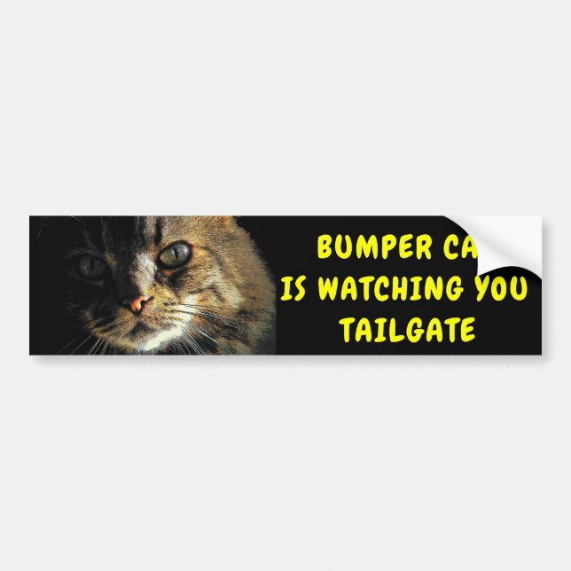 Autocollant De Voiture Bumper Cat regarde TAILGATE 43 (Devant)