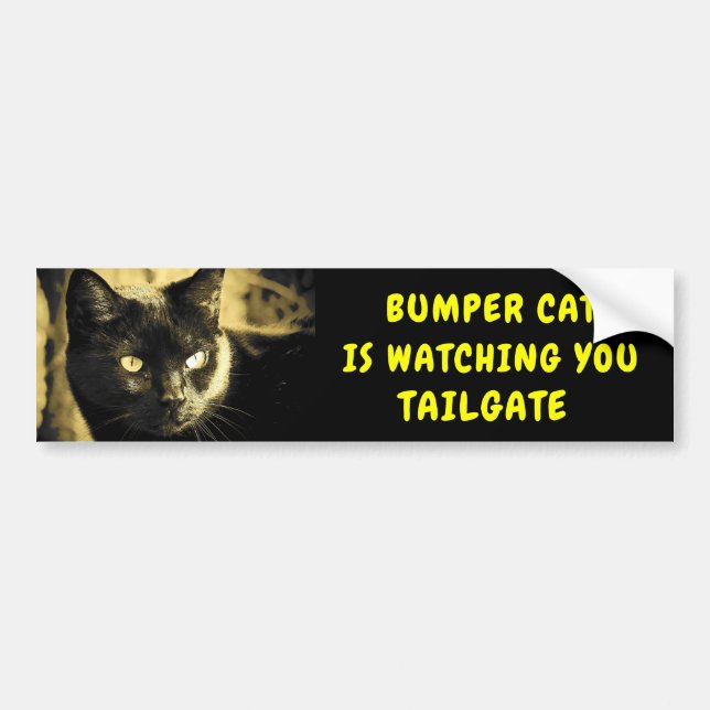 Autocollant De Voiture Bumper Cat regarde TAILGATE 44 (Devant)