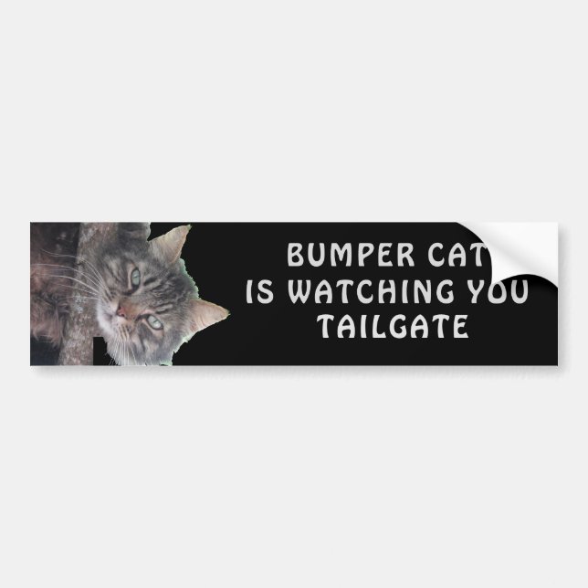 Autocollant De Voiture Bumper Cat regarde TAILGATE 45 (Devant)
