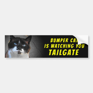 Autocollant De Voiture Bumper Cat regarde TAILGATE 46