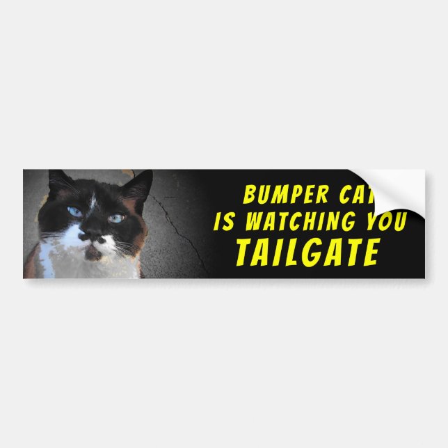 Autocollant De Voiture Bumper Cat regarde TAILGATE 46 (Devant)