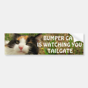 Autocollant De Voiture Bumper Cat regarde TAILGATE 8