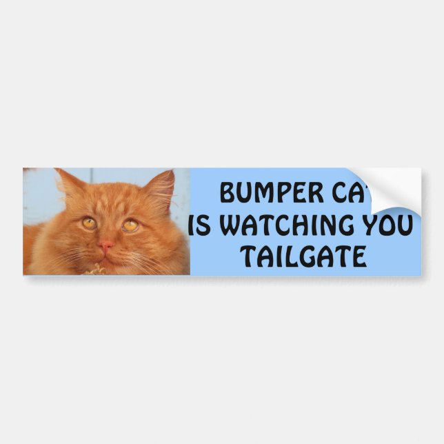Autocollant De Voiture Bumper Cat vous regarde TAILGATE 14 (Devant)