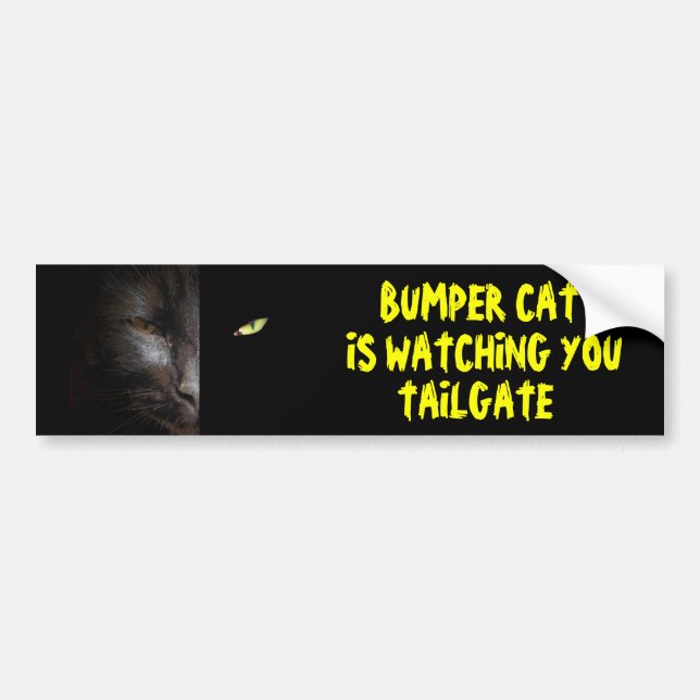 Autocollant De Voiture Bumper Cat vous regarde Tailgate 37 (Devant)
