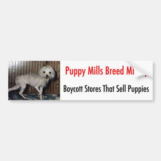 Autocollant De Voiture Bumpersticker (Devant)