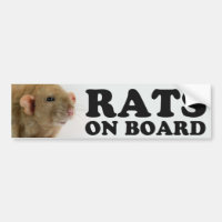 (Burmese) Rats on board
