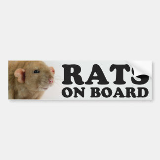 Autocollant De Voiture (Burmese) Rats on board