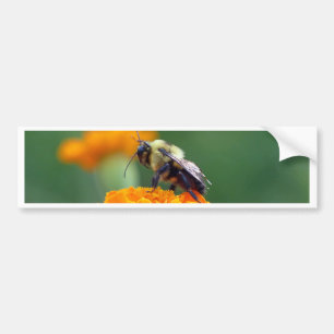 Autocollant De Voiture Busy Bee