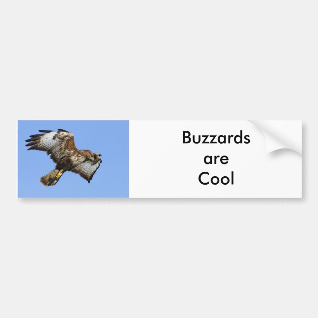 Autocollant De Voiture Buzzard 1 (Devant)