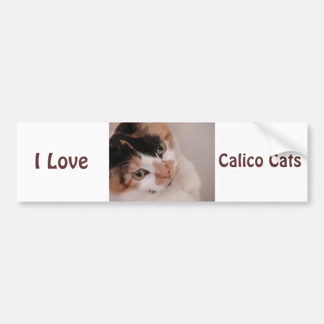 Autocollant De Voiture Calico Beauty Chat (Devant)