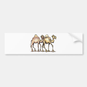 Autocollant De Voiture Camels