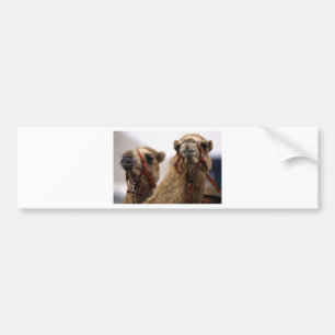 Autocollant De Voiture Camels