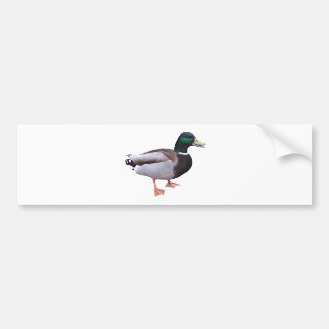 Autocollant De Voiture Canard de Mallard (Devant)