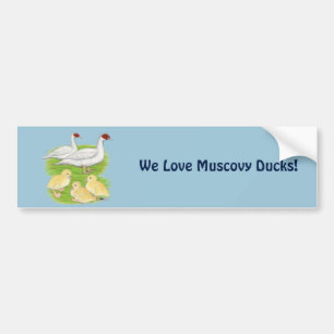 Autocollant De Voiture Canards Famille de Muscovy Blanc