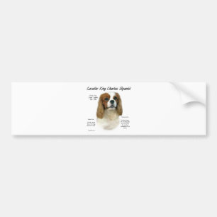 Autocollant De Voiture Cavalier King Charles Spaniel (Blenheim) Histoire