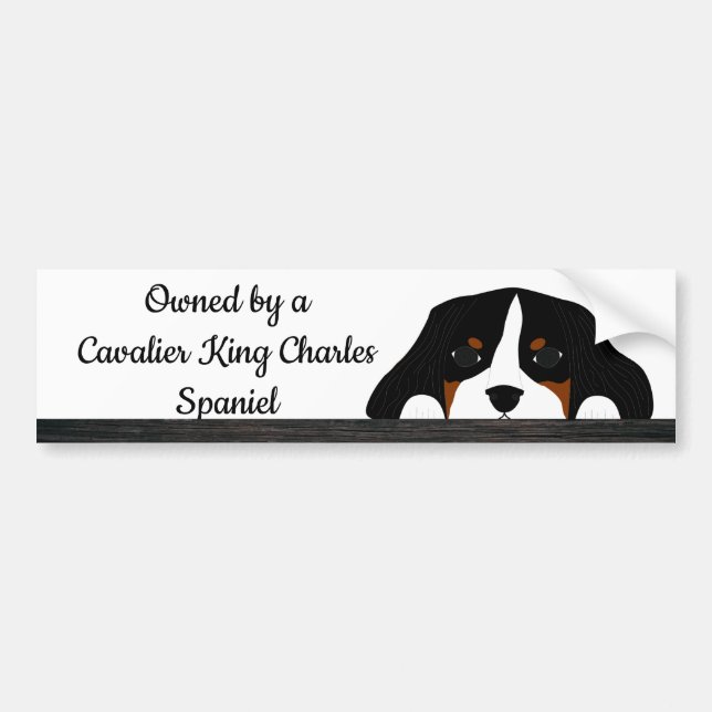 Autocollant De Voiture Cavalier King Charles Spaniel Puppy Dog (Devant)