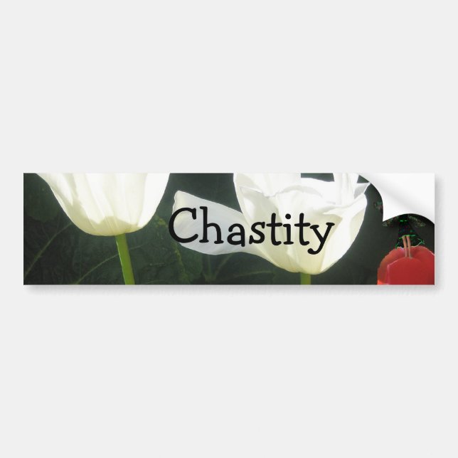 Autocollant De Voiture Chasteté (Devant)