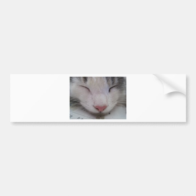 Autocollant De Voiture Chat couché (Devant)