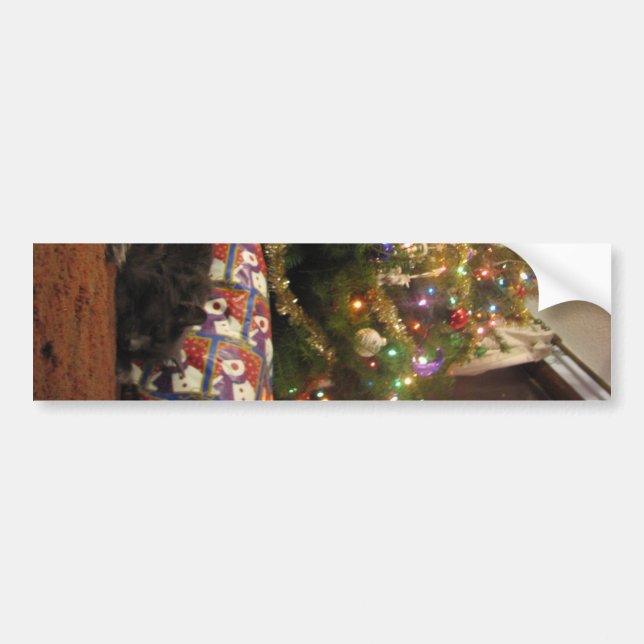 Autocollant De Voiture Chat de Noël (Devant)