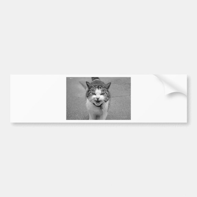 Autocollant De Voiture Chat en colère (Devant)