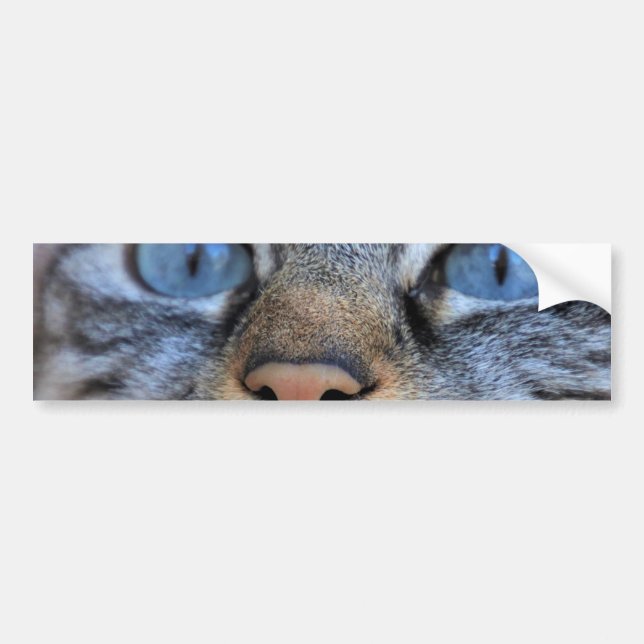 Autocollant De Voiture Chat gris (Devant)