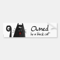 chat noir possédé