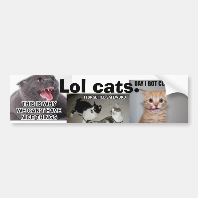 Autocollant De Voiture Chats de Lol (Devant)